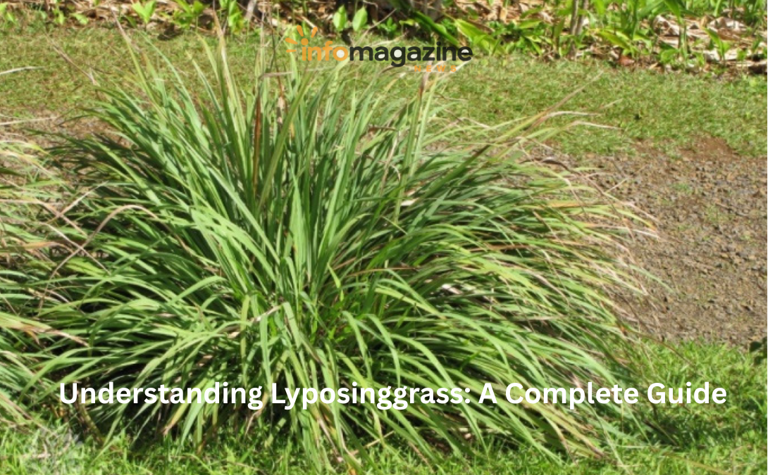 Lyposinggrass